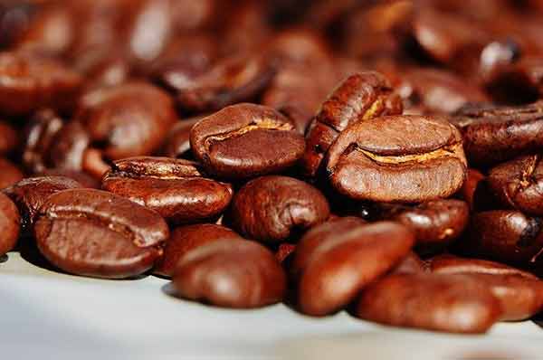 菲律宾猫屎咖啡豆